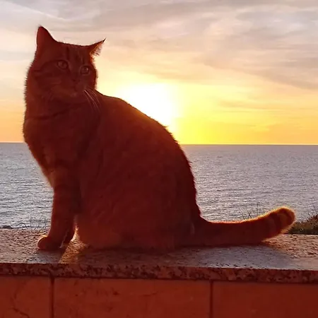 L'alba Dei Sogni Appartamento